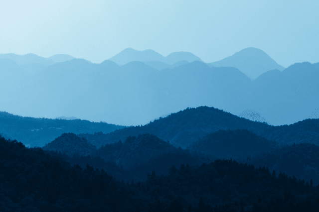 blue mountains euchalyptus forest